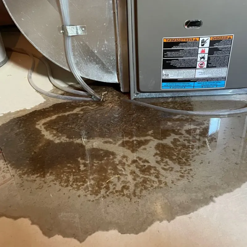 Pipe Burst and Leak Restoration in Evanston, WY