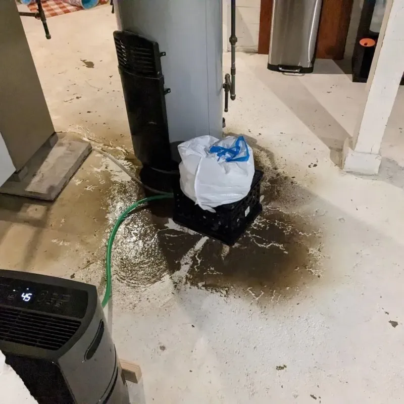 Sewage Backup Cleanup Service in Evanston, WY